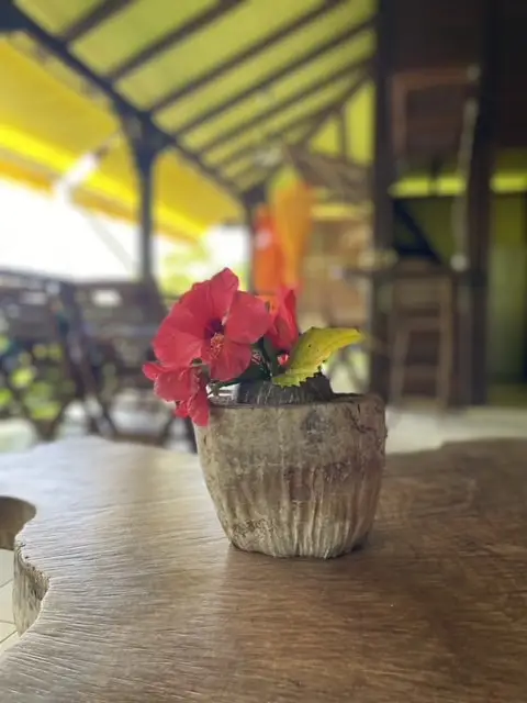 Ti-Carbet Détente : terrasse