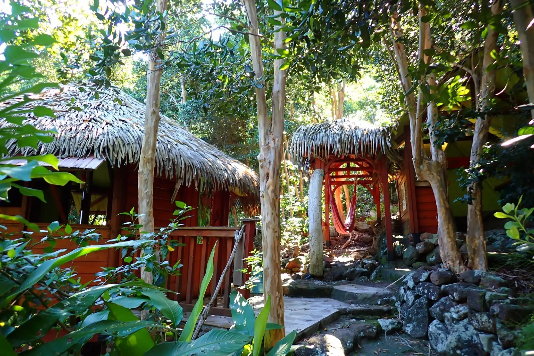 Les cabanes de Rêve de Robinson dans la forêt de bois d'inde, à Terre-de-Bas