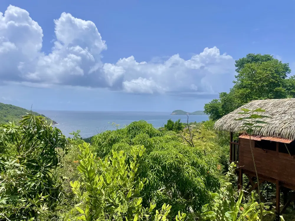 Vue mer depuis les hauteurs de Terre-de-Bas